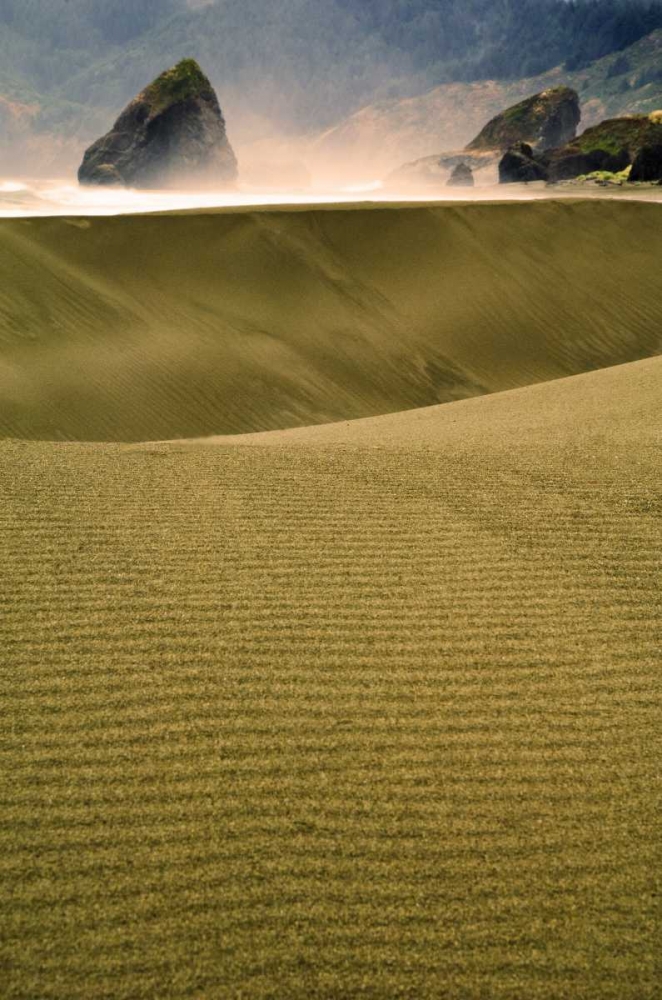 Wall Art Painting id:134094, Name: USA, Oregon Sand dunes in late light along coast, Artist: Rotenberg, Nancy