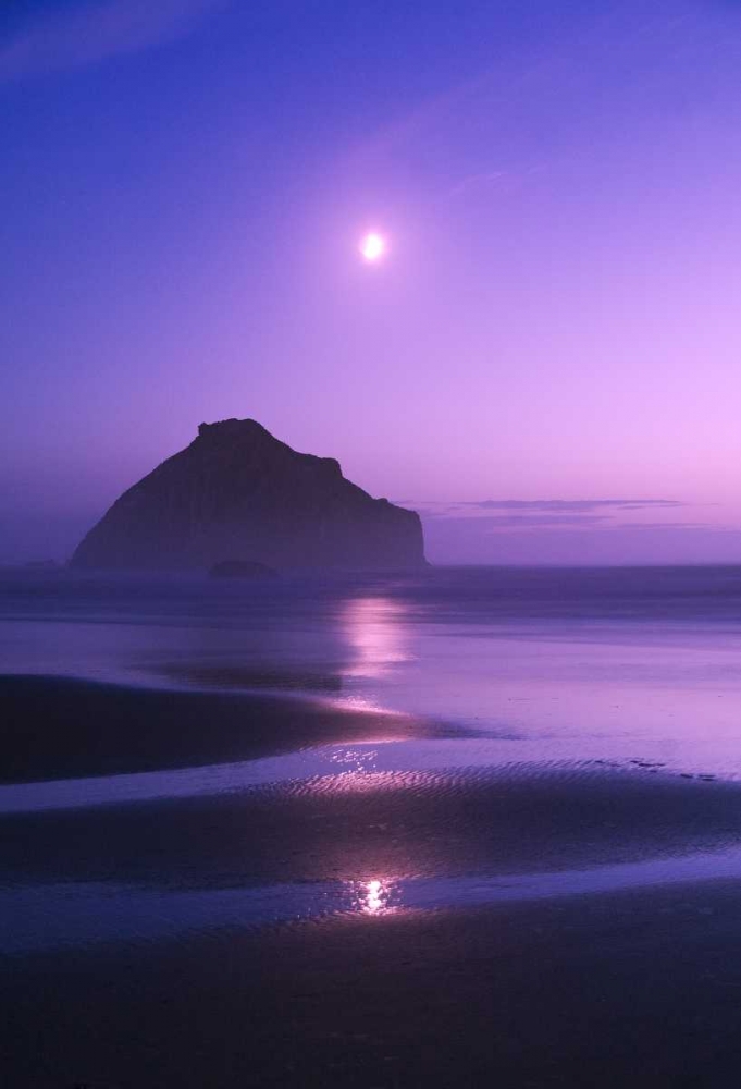 Wall Art Painting id:133695, Name: USA, Oregon Moonrise over Face Rock, Artist: Rotenberg, Nancy