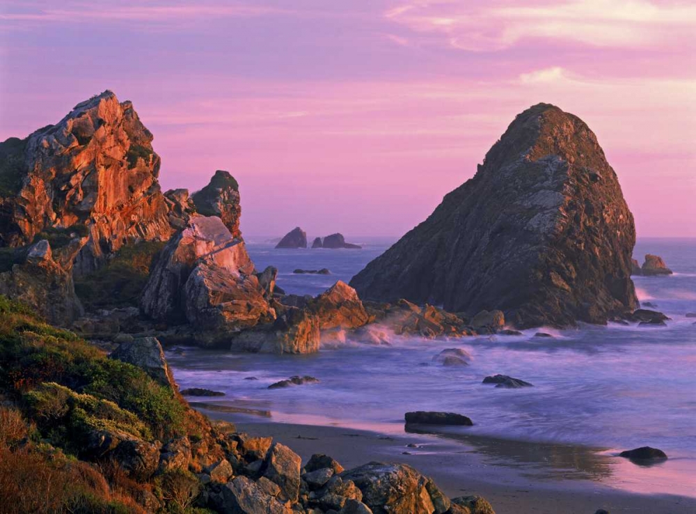 Wall Art Painting id:135826, Name: OR, Harris State Beach Sea stacks at sunset, Artist: Welling, Dave