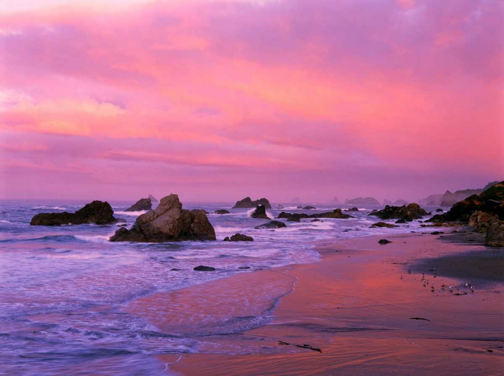 Wall Art Painting id:135796, Name: OR, Harris State Beach Sea stacks at dawn, Artist: Welling, Dave