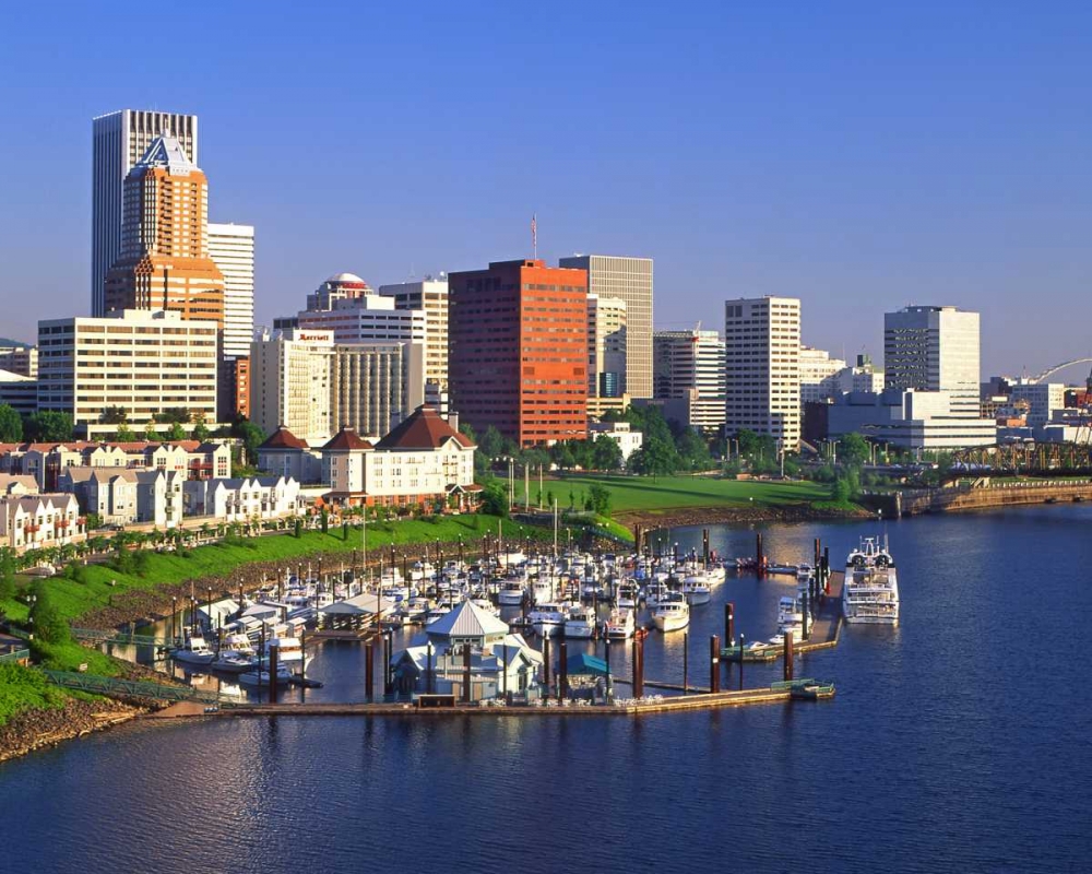 Wall Art Painting id:135466, Name: OR, Portland Downtown skyline and Marina, Artist: Terrill, Steve