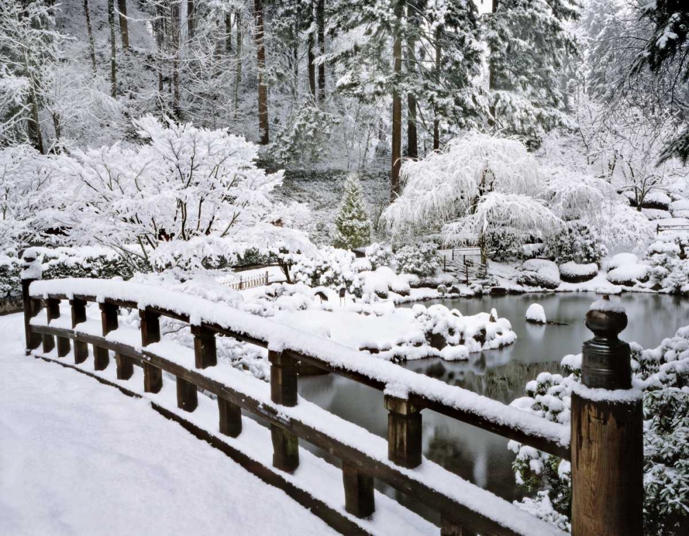 Wall Art Painting id:135565, Name: Oregon, Portland Winter snowfall in a Garden, Artist: Terrill, Steve