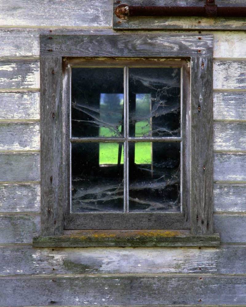 Wall Art Painting id:135423, Name: OR, Willamette Valley Old barn window, Artist: Terrill, Steve