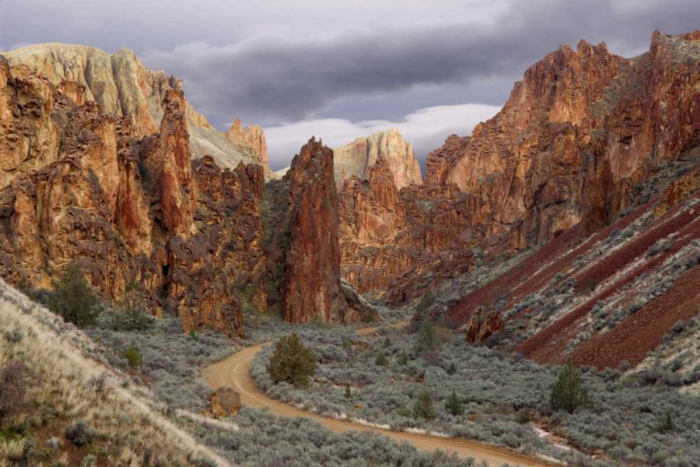 Wall Art Painting id:131720, Name: USA, Oregon View of Leslie Gulch, Artist: Paulson, Don