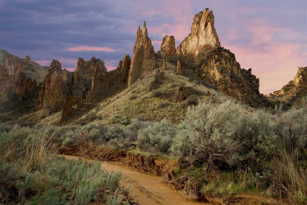 Wall Art Painting id:131721, Name: USA, Oregon View of Leslie Gulch, Artist: Paulson, Don