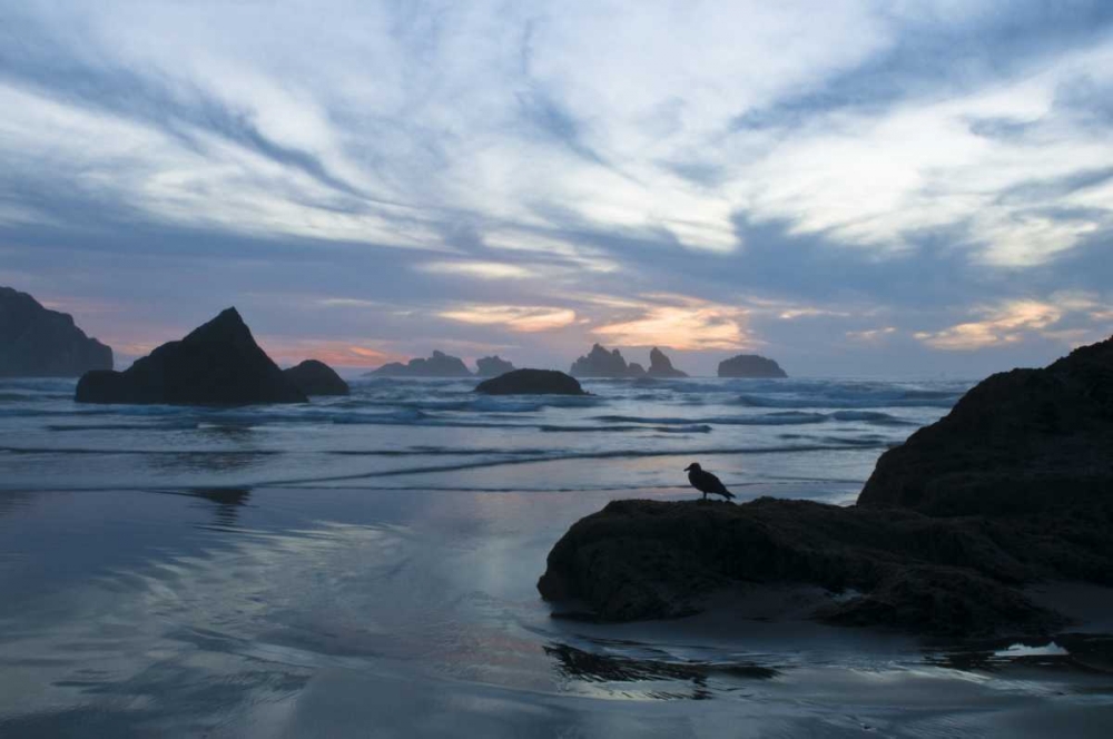 Wall Art Painting id:133978, Name: OR, Bandon Beach Seagull silhouette at sunset, Artist: Rotenberg, Nancy