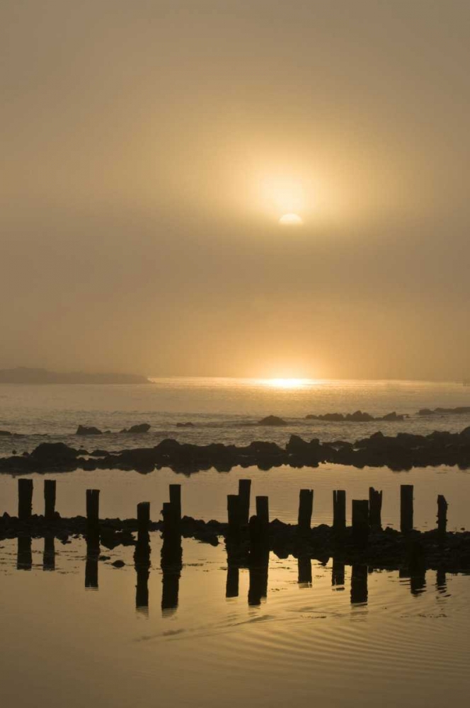 Wall Art Painting id:133992, Name: USA, Oregon, Bandon Sunrise on foggy coastline, Artist: Rotenberg, Nancy