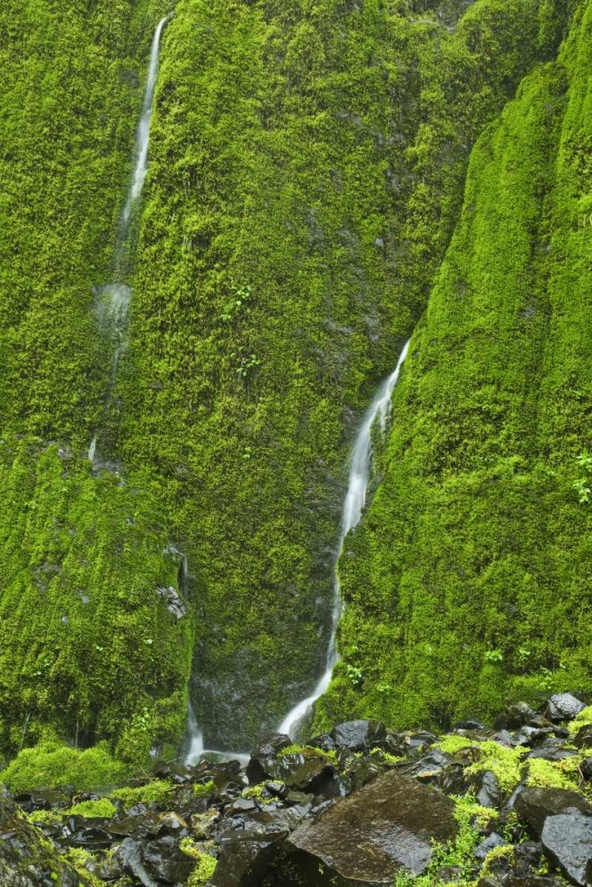 Wall Art Painting id:133160, Name: OR, Columbia Gorge Elowah Falls Trail Waterfall, Artist: Paulson, Don