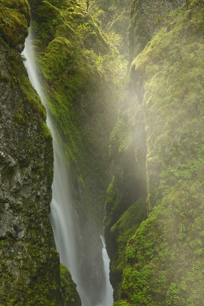 Wall Art Painting id:132359, Name: OR, Columbia Gorge Overlook of Elowah Falls, Artist: Paulson, Don