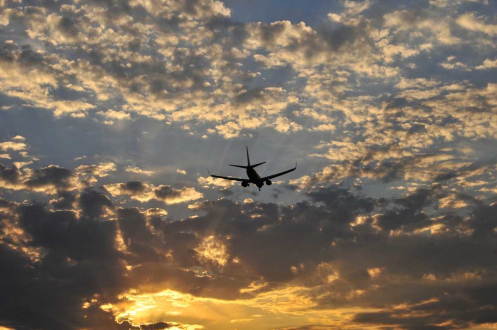 Wall Art Painting id:135488, Name: OR, Portland Airplane approaching landing, Artist: Terrill, Steve