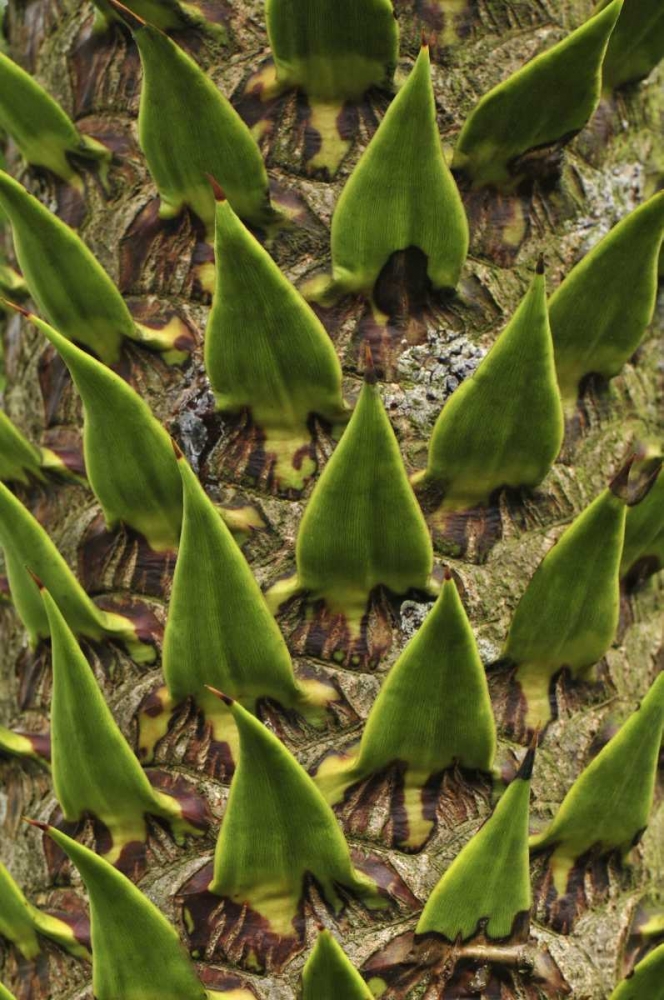 Similar wall art painting: 135566