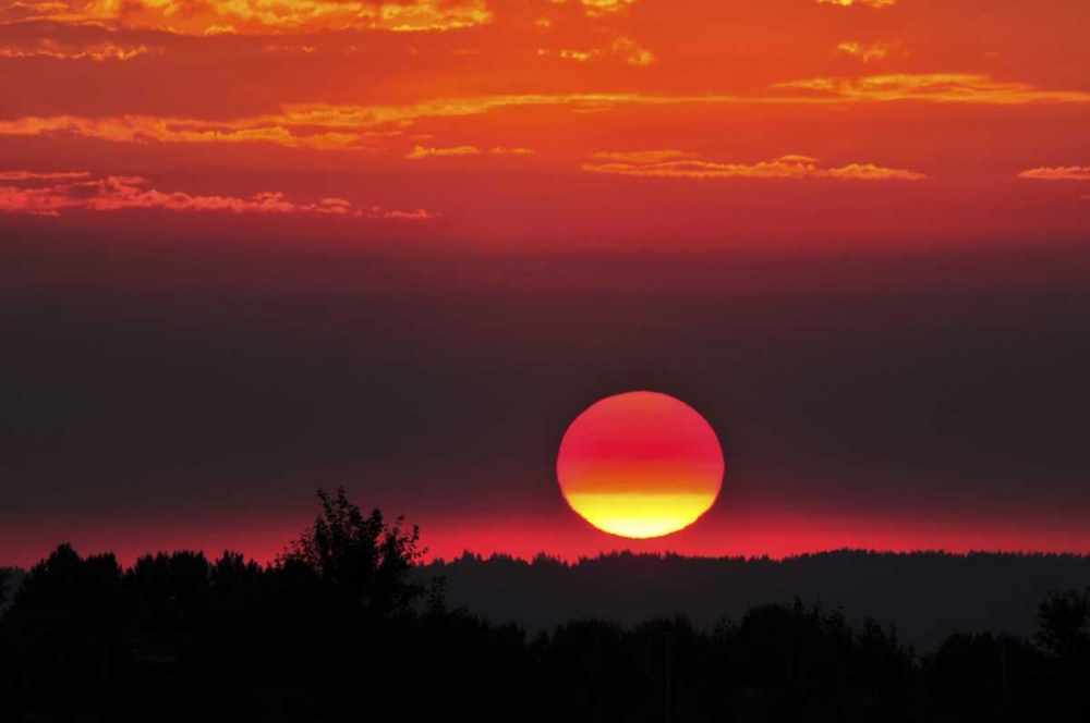 Wall Art Painting id:135427, Name: USA, Oregon, Portland Vivid red sunset, Artist: Terrill, Steve