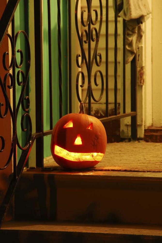 Wall Art Painting id:135594, Name: OR, Portland Lighted jack-o-lantern on porch, Artist: Terrill, Steve