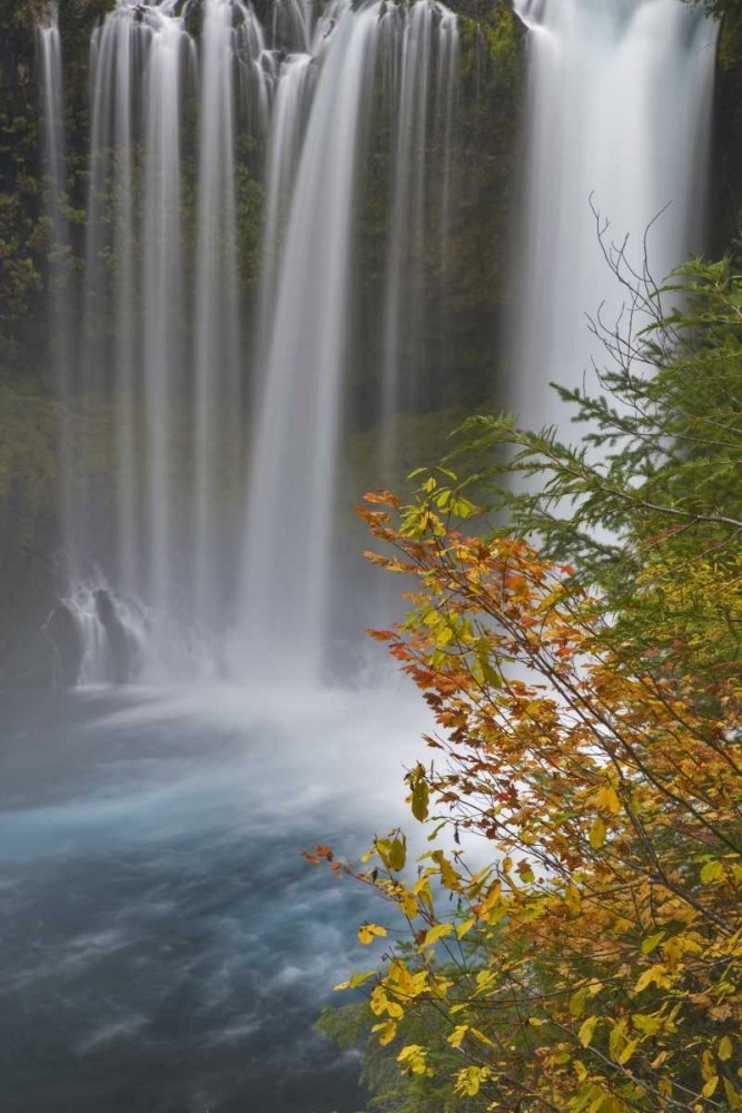 Wall Art Painting id:131697, Name: OR, Willamette NF Koosah Falls, Artist: Paulson, Don