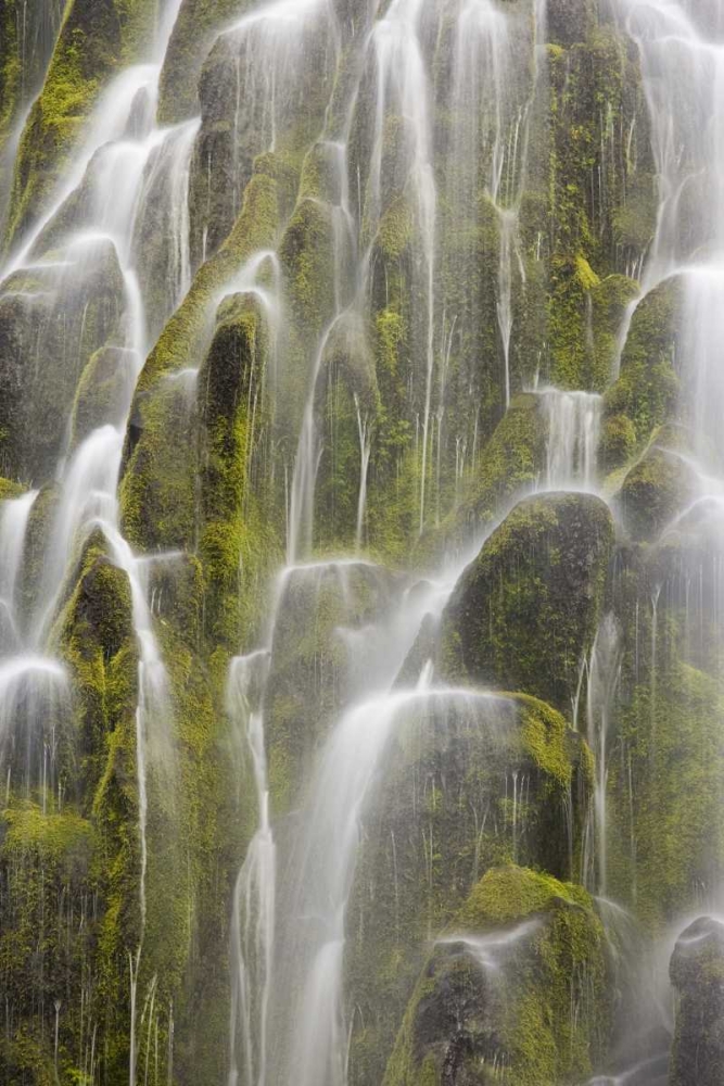 Wall Art Painting id:132095, Name: Oregon, Willamette NF View of Proxy Falls, Artist: Paulson, Don