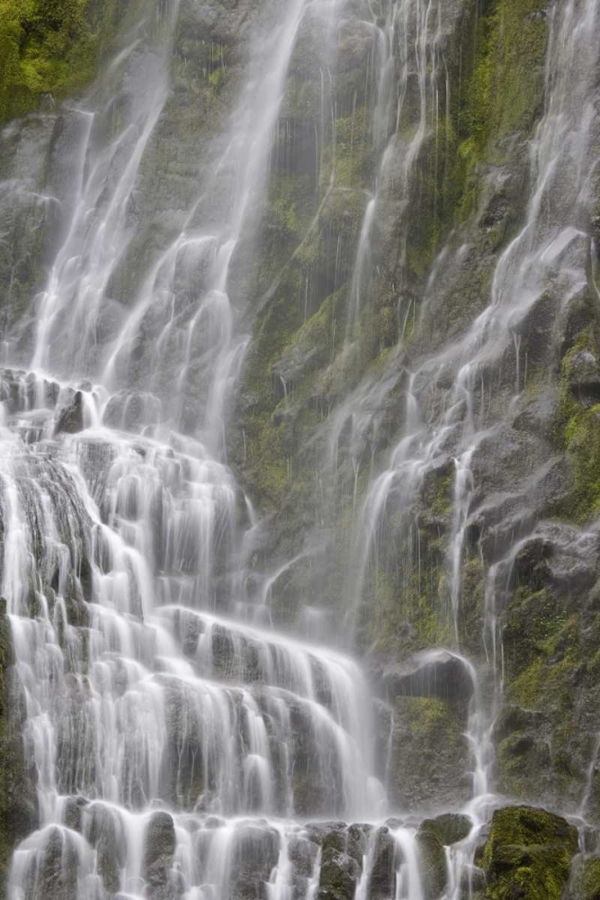 Wall Art Painting id:132096, Name: Oregon, Willamette NF View of Proxy Falls, Artist: Paulson, Don