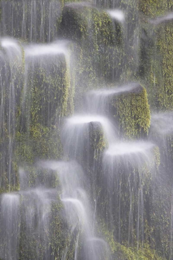 Wall Art Painting id:132816, Name: OR, Willamette NF Proxy Falls cascading water, Artist: Paulson, Don