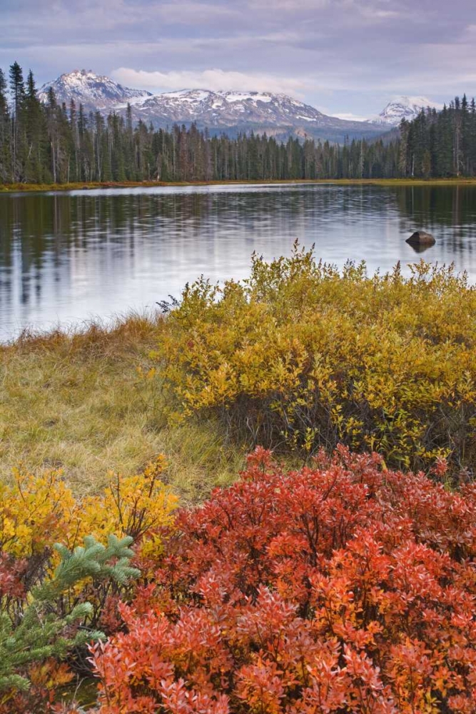 Wall Art Painting id:132941, Name: OR, Willamette NF Scott Lake and Three Sisters, Artist: Paulson, Don