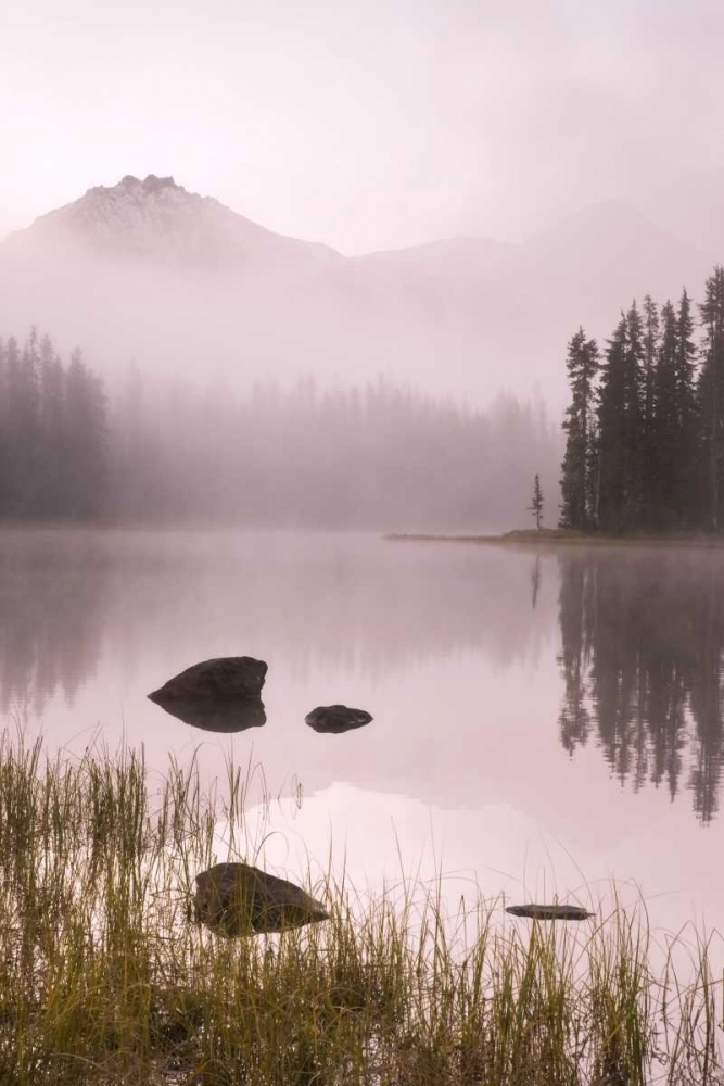 Wall Art Painting id:132803, Name: OR, Willamette NF Foggy sunrise on Scott Lake, Artist: Paulson, Don