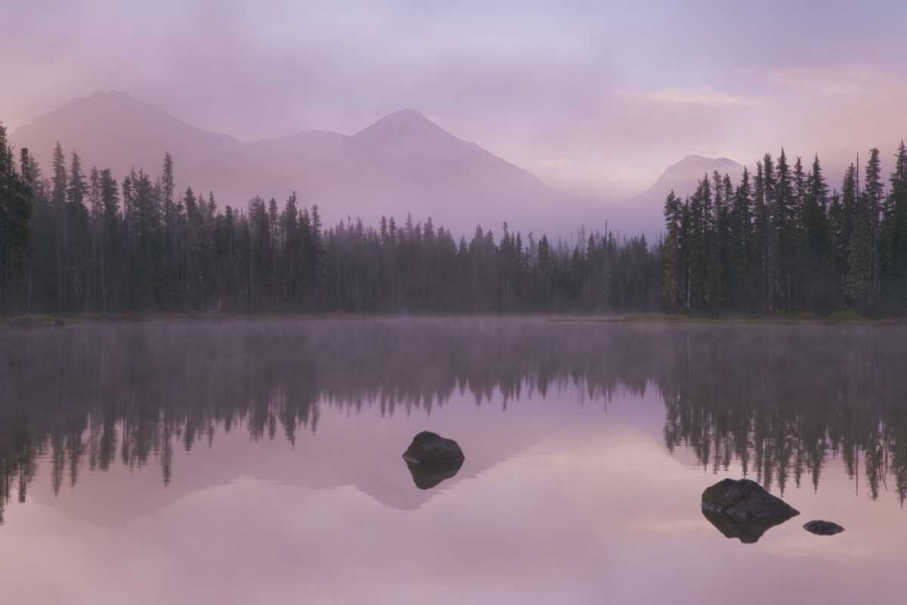 Wall Art Painting id:132804, Name: OR, Willamette NF Foggy sunrise on Scott Lake, Artist: Paulson, Don