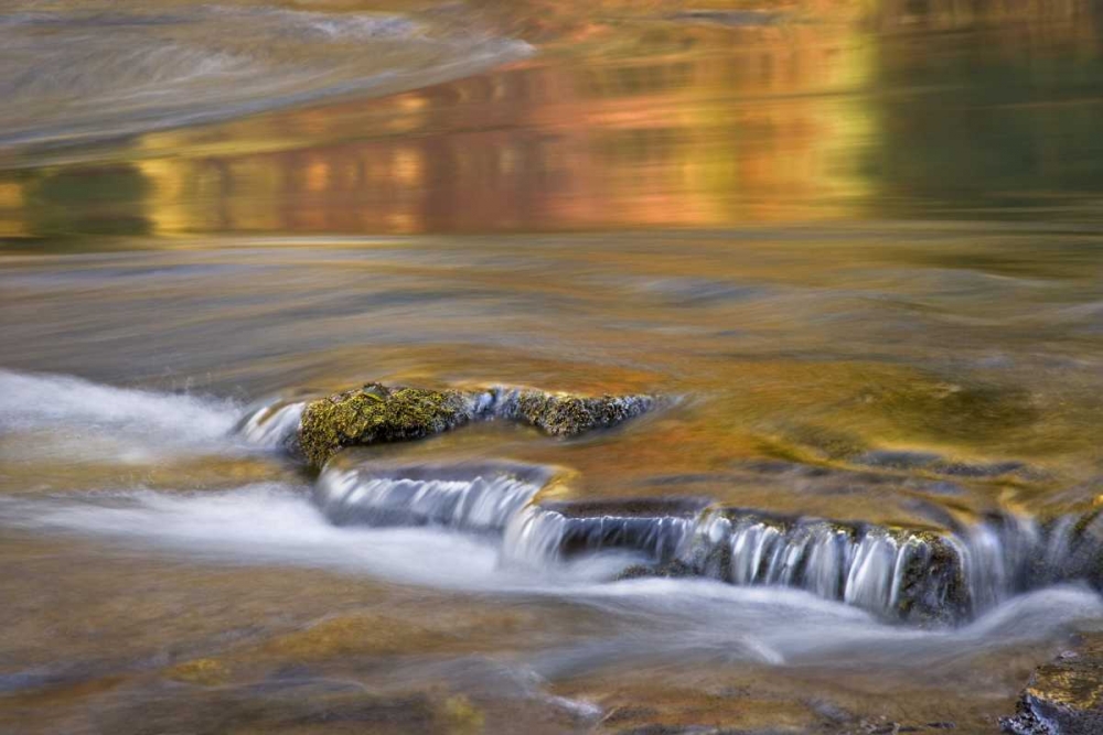 Wall Art Painting id:131842, Name: OR, Rogue River NF Autumn reflections, Artist: Paulson, Don