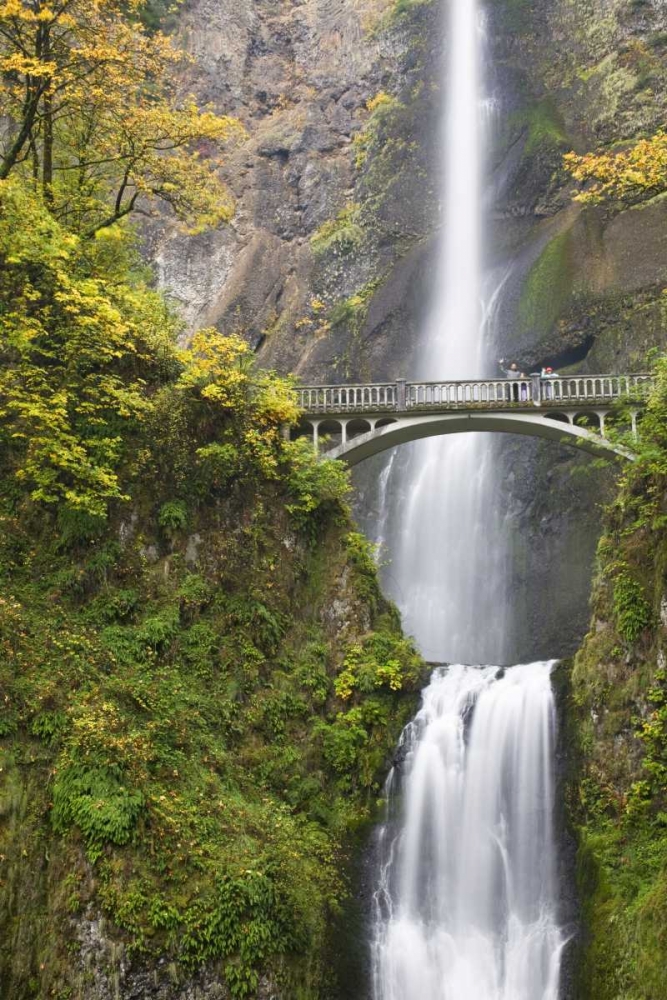 Wall Art Painting id:132527, Name: OR, Columbia Gorge Bridge by Multnomah Falls, Artist: Paulson, Don