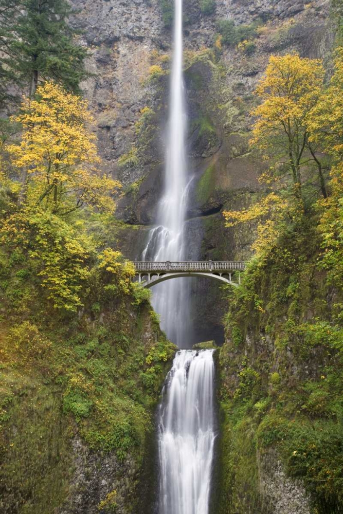 Wall Art Painting id:132545, Name: OR, Columbia Gorge Bridge by Multnomah Falls, Artist: Paulson, Don