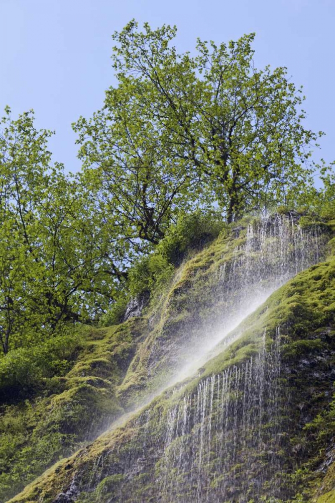 Wall Art Painting id:133140, Name: OR, Columbia Gorge Waterfall flowing from cliff, Artist: Paulson, Don