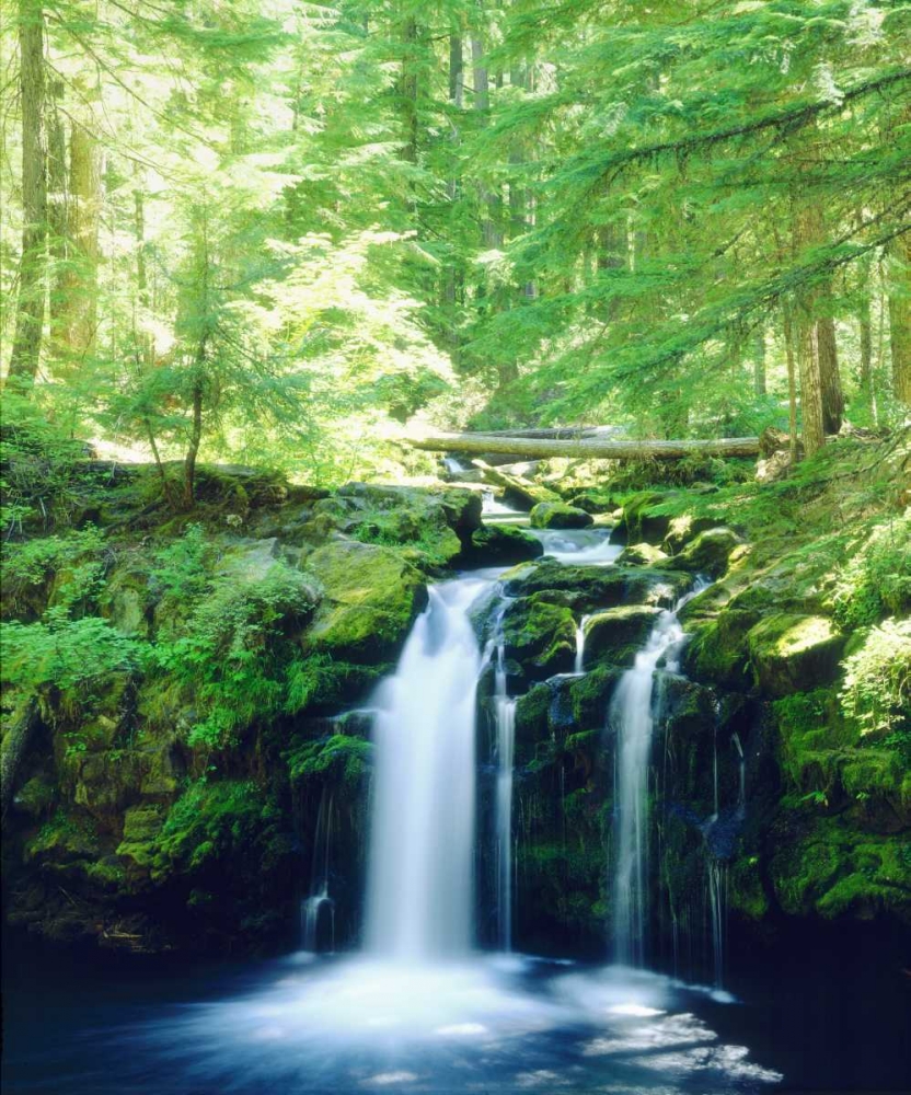 Wall Art Painting id:134827, Name: USA, Oregon, Whitehorse Waterfall in Oregon, Artist: Talbot Frank, Christopher