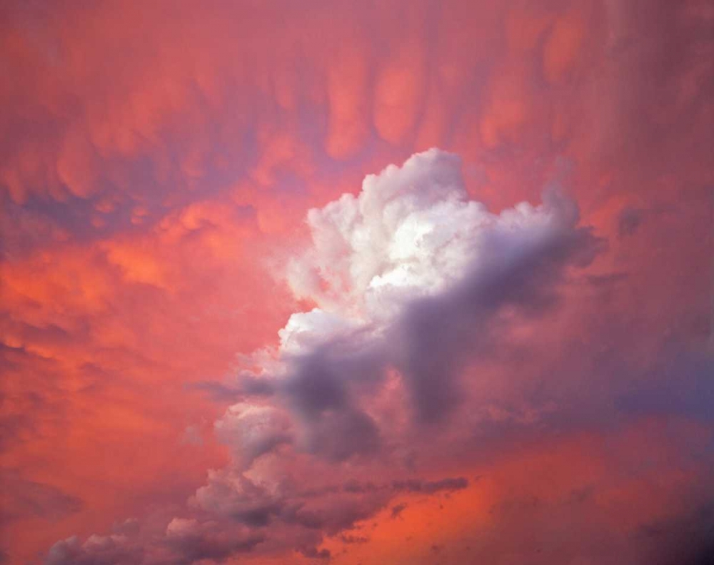 Wall Art Painting id:135507, Name: Oregon, Portland Clouds with sunset colors, Artist: Terrill, Steve