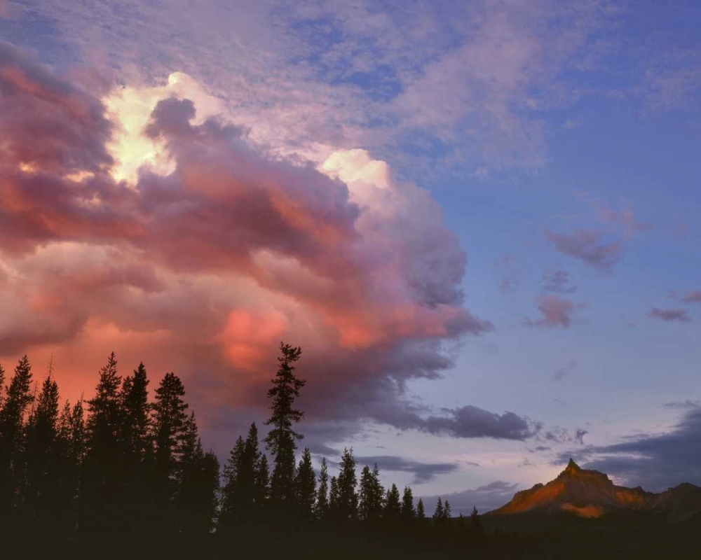 Wall Art Painting id:135699, Name: Oregon, Umpqua NF Storm approaching Mt Thielsen, Artist: Terrill, Steve