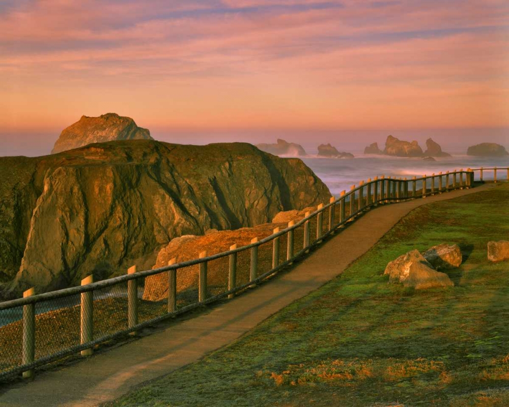 Wall Art Painting id:135546, Name: OR, Bandon Rocks viewed from trail to beach, Artist: Terrill, Steve