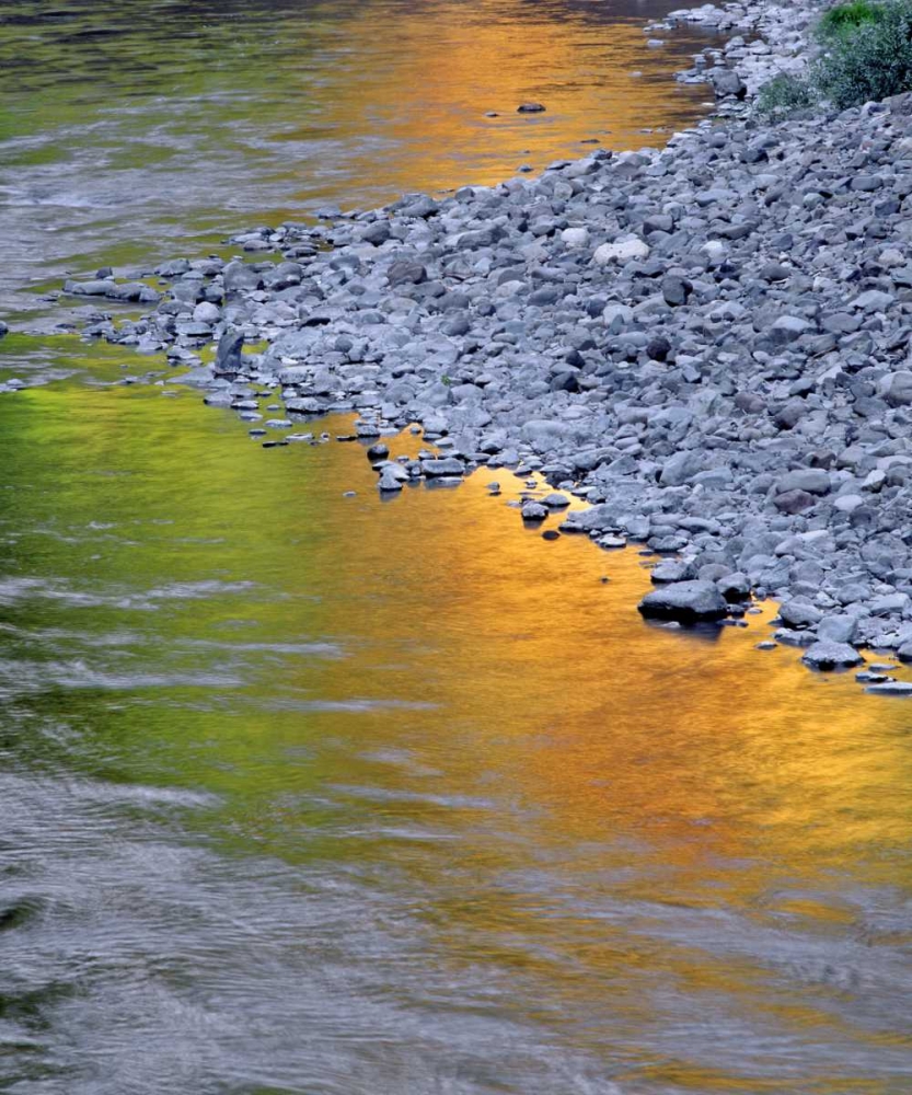 Wall Art Painting id:135561, Name: Oregon Autumn reflections in Collawash River, Artist: Terrill, Steve