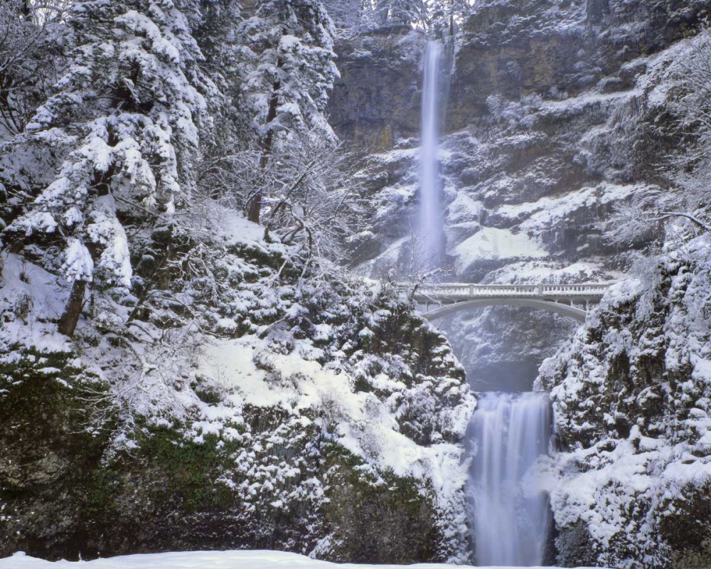 Wall Art Painting id:135582, Name: OR, Columbia Gorge Winter at Multnomah Falls, Artist: Terrill, Steve