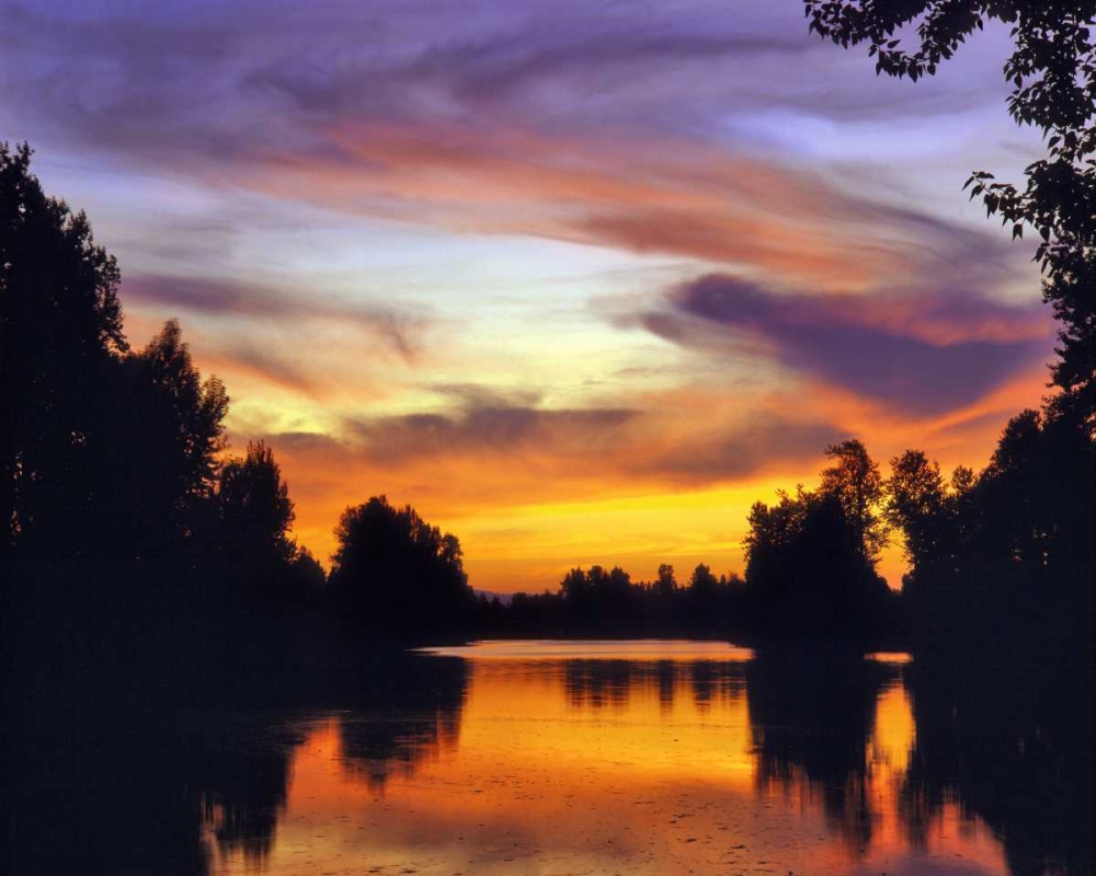 Wall Art Painting id:135736, Name: USA, Oregon Sunset reflecting in Columbia Slough, Artist: Terrill, Steve