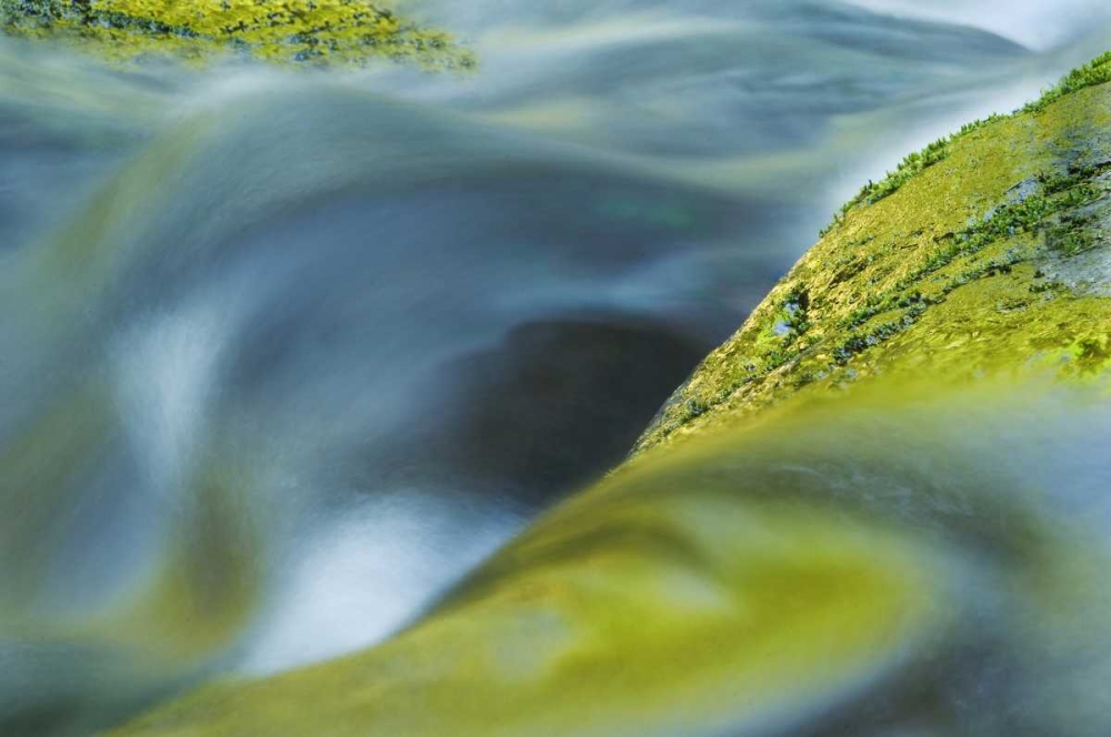 Wall Art Painting id:133808, Name: USA, Oregon Water flow over rocks in creek, Artist: Rotenberg, Nancy