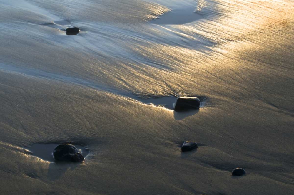 Wall Art Painting id:133687, Name: USA, Oregon Beach scenic at sunset, Artist: Rotenberg, Nancy