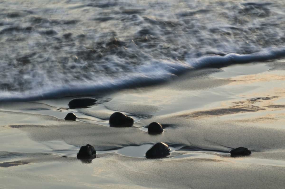 Wall Art Painting id:133635, Name: USA, Oregon Beach scenic, Artist: Rotenberg, Nancy