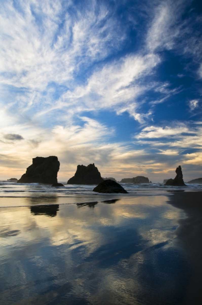 Wall Art Painting id:134095, Name: USA, Oregon, Bandon Beach Sea stacks at twilight, Artist: Rotenberg, Nancy