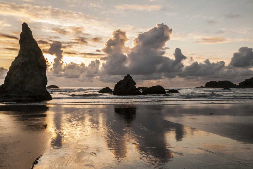 Wall Art Painting id:128778, Name: USA, Oregon, Bandon Shore scenic, Artist: Illg, Cathy and Gordon