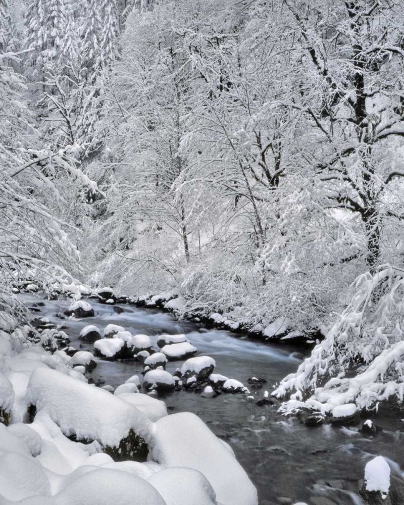 Wall Art Painting id:135475, Name: Oregon, Mt Hood NF Snow on Boulder Creek, Artist: Terrill, Steve