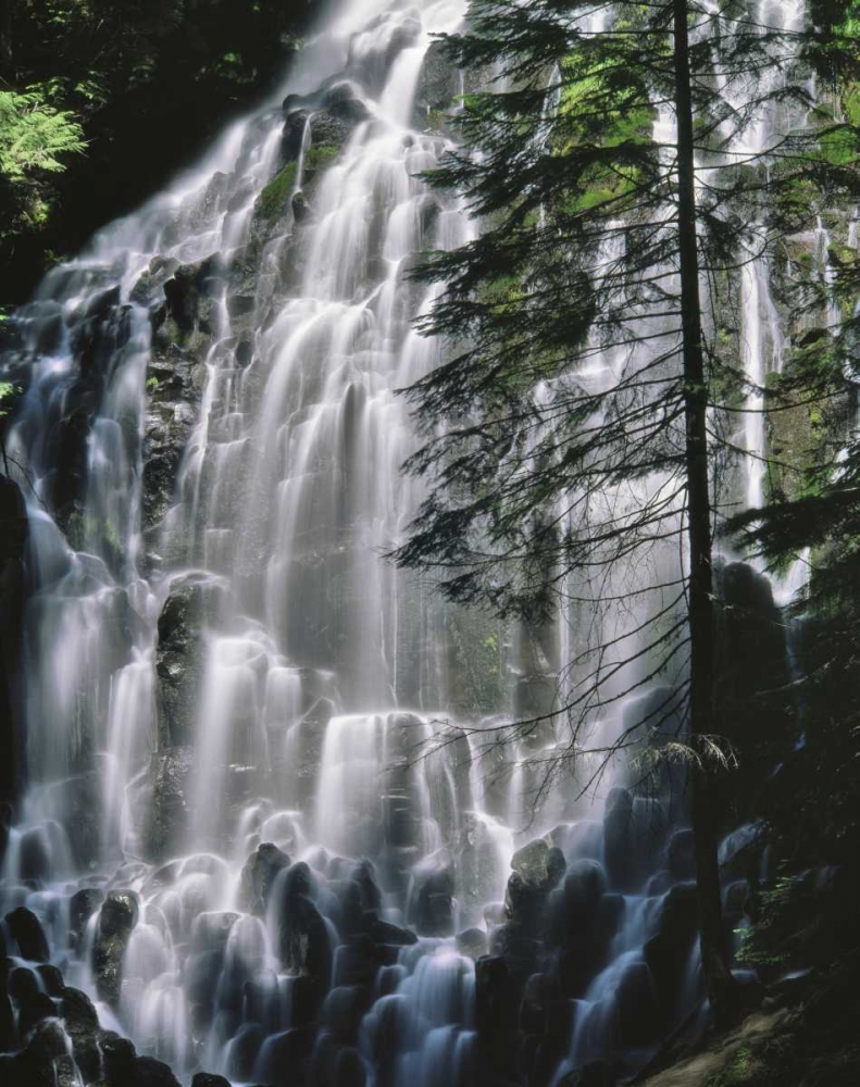 Wall Art Painting id:135458, Name: Oregon, Mt Hood Wilderness Ramona Falls, Artist: Terrill, Steve