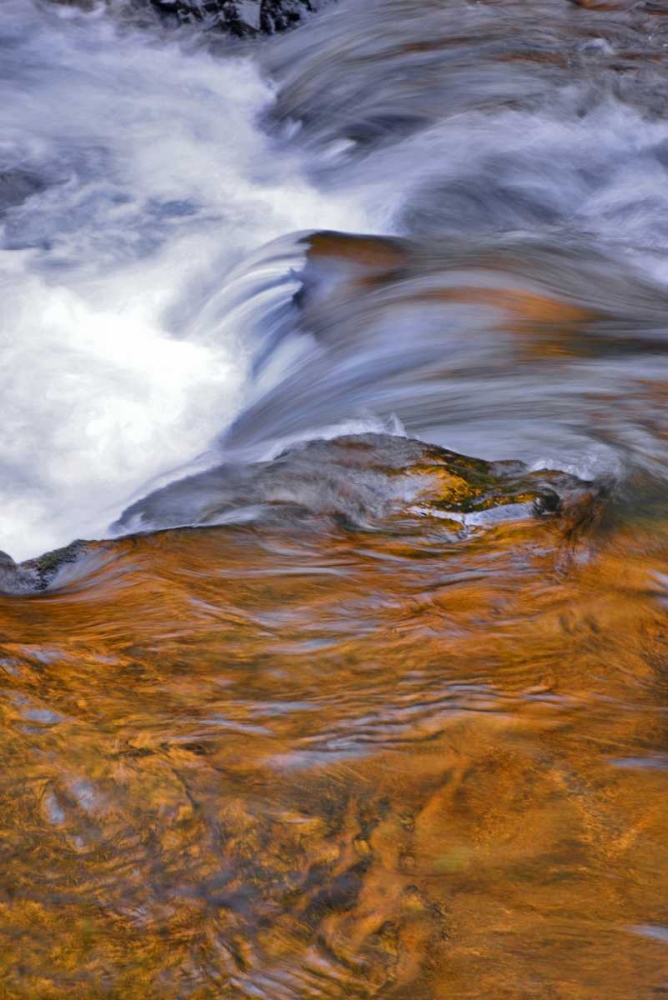 Wall Art Painting id:135470, Name: USA, Oregon Waterfall in South Fork River, Artist: Terrill, Steve