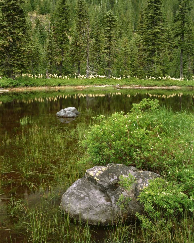 Wall Art Painting id:135705, Name: Oregon, Mt Hood NF Reflections in Surprise Lake, Artist: Terrill, Steve