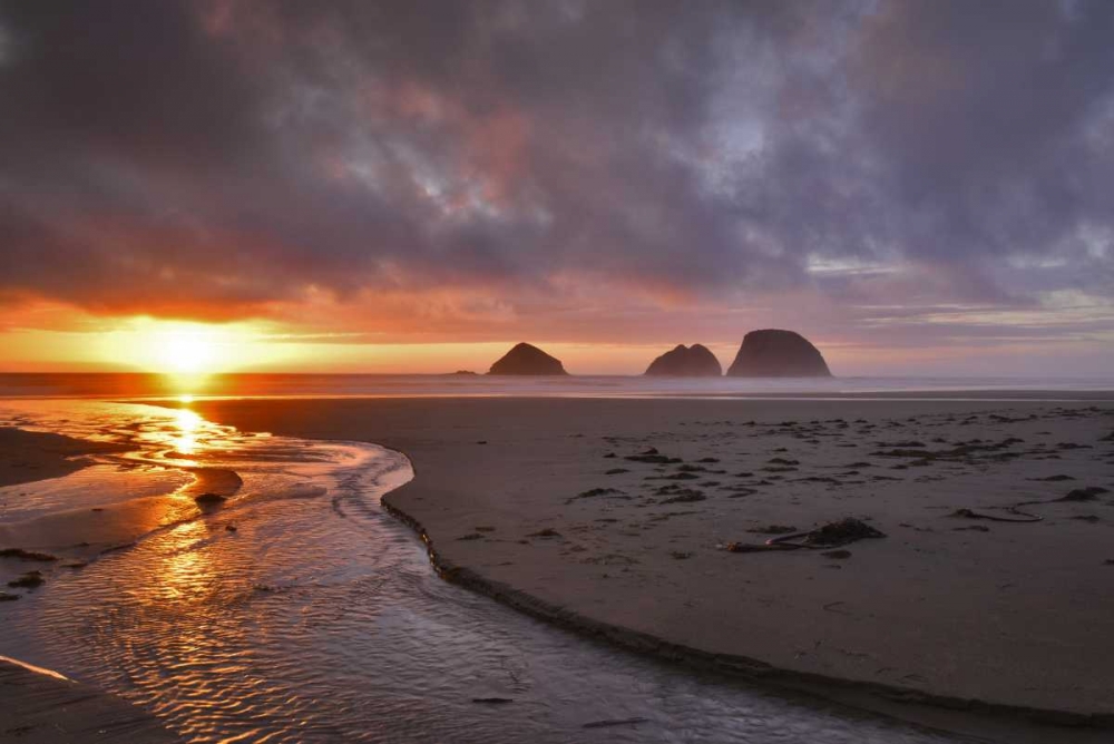 Wall Art Painting id:135564, Name: Oregon, Oceanside Sunset on Three Arch Rocks, Artist: Terrill, Steve