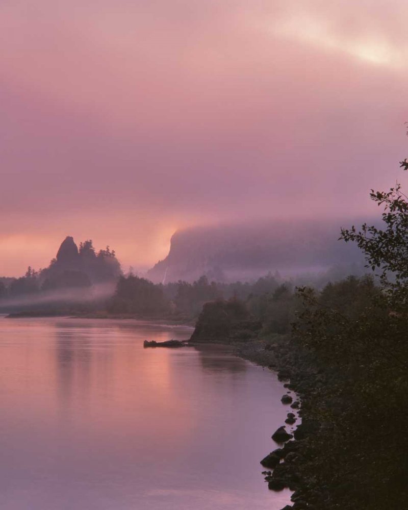 Wall Art Painting id:135711, Name: OR, Columbia Gorge NSA Fog along Columbia River, Artist: Terrill, Steve