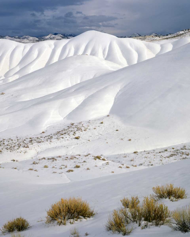 Wall Art Painting id:135632, Name: OR, John Day Fossil Beds NM The Painted Hills, Artist: Terrill, Steve