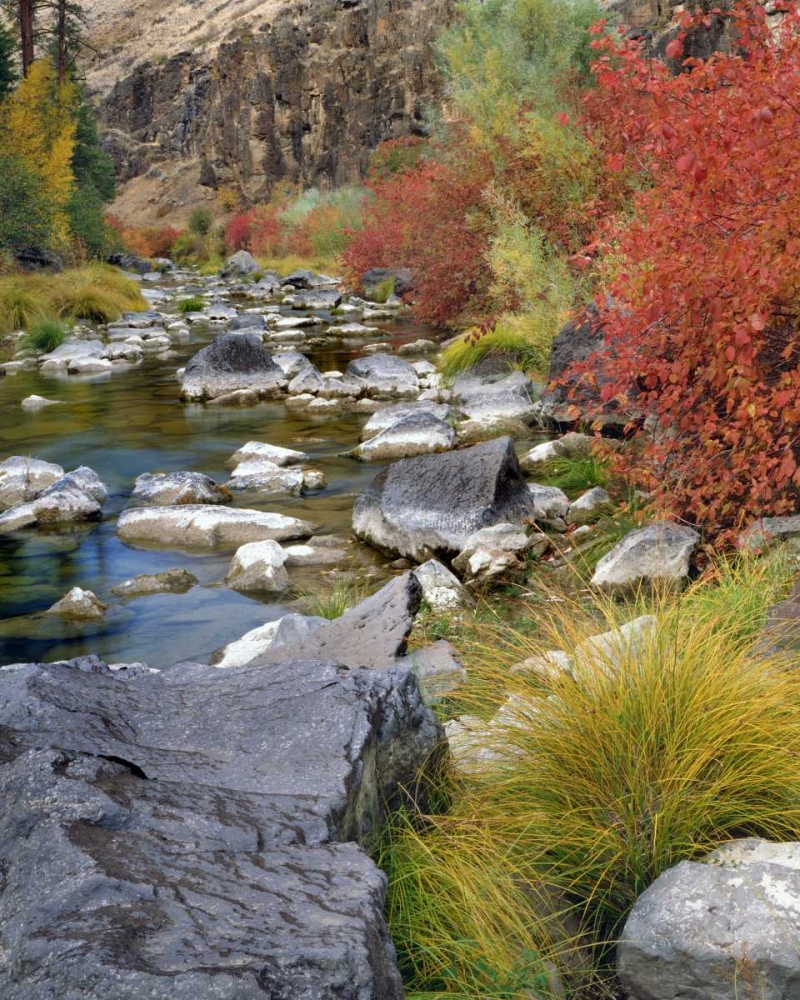 Wall Art Painting id:135558, Name: USA, Oregon Fall colors along John Day River, Artist: Terrill, Steve