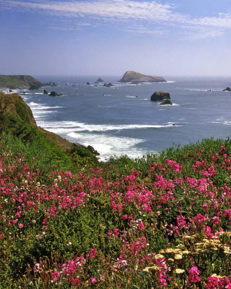 Wall Art Painting id:135526, Name: Oregon Seascape of Goat Rock and sweet peas, Artist: Terrill, Steve