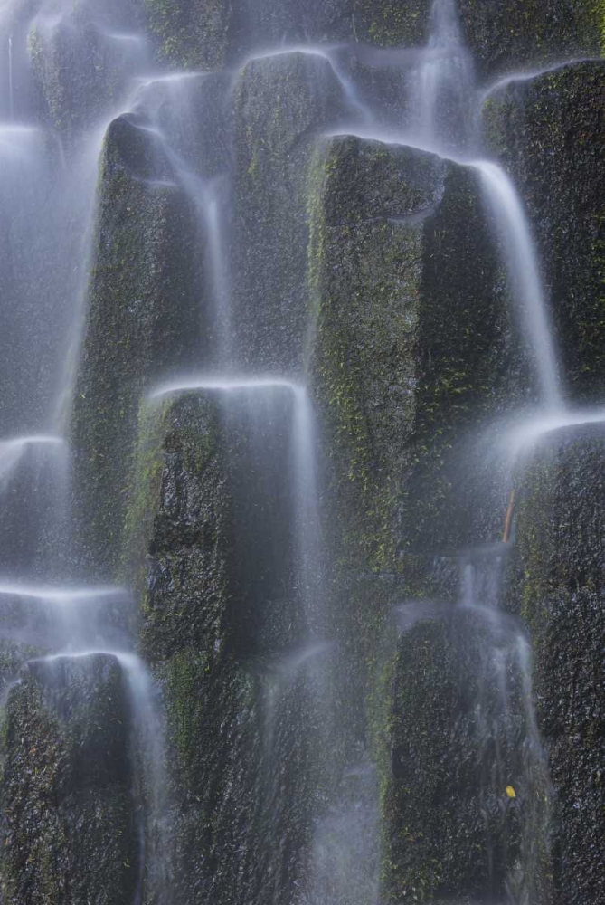 Wall Art Painting id:127276, Name: Oregon, Proxy Falls Waterfalls over basalt, Artist: Delisle, Gilles